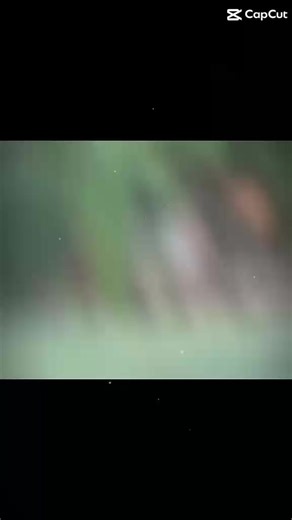 Phú Quý 213 gk mini fc luôn tin tưởng #bongdaphui #xh