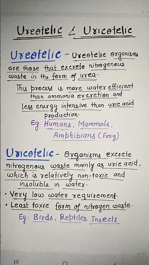 Ureotelic and Uricotelic. Ch.19 Body Fluids and Circulation CLASS -11 BIOLOGY