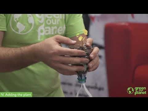 How to Build a Wicking Hydroponic System