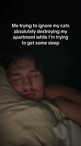 Haven’t had a full 8 hours in a long time #cats #catsoftiktok #catlover #fyp #viral