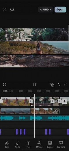 Daily vlog intro template