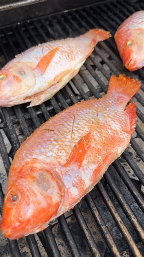 Don't be intimidated by cooking up whole fish! Tilapia is affordable and easy to prepare! https://momsdish.com/grilled-tilapia | Momsdish - Crazy Easy Cooking