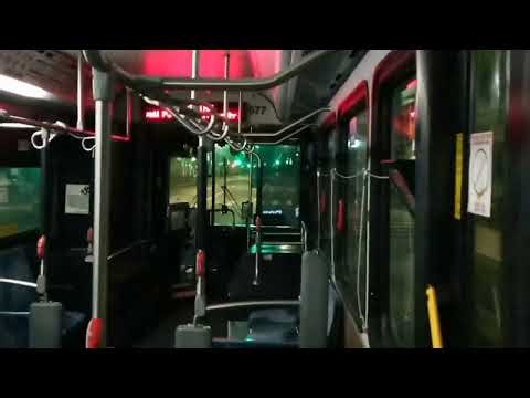 Honolulu TheBus #677 Route 51