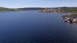 22 different species of whales make their way to the province each year. Needless to say, showtimes may vary. Find this video, along with others, on your next Air Canada flight. | Newfoundland & Labrador Tourism