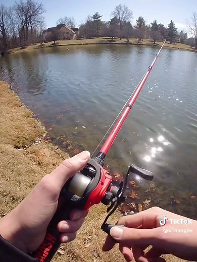 #fishon #bassfishing #fishing #fishinglife #lewsfishing #bankfishing #ohio #pondfishing #fishingforlife #freshwaterfishing