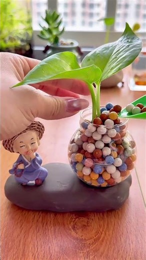 🌱🌱🌱?? Desktop calming style ✨ # Hydroponic Philodendron - Fragments of a calming life#diy #love