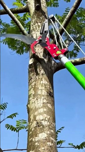 🌳✂️ Trim Trees Safely from the Ground: The Ultimate Pole Saw Hack!#shorts