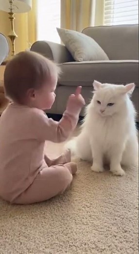 Talking Cat Argues with Toddler! 😂🥰#funnycats #babyandcat #talkingcat #babycat #babyvscat