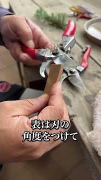 [Direct from Senmu] How to care for garden tools