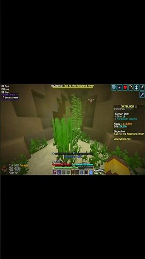 (No Diver's Armor) Cheapest/Easiest Way to Get to the Jade Dragon!