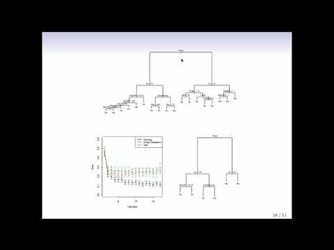 Statistical Learning: 8.3 Classification Trees