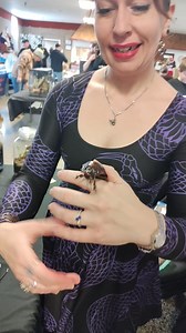 So yeah, what did Amber Arachnid see today at the Toledo Reptile Show.... A GIANT burrowing cockroach OR Macropanesthia rhinoceros for tha nerds! Once Amber Lynne seen this thing, she was in love, but alas it belonged to an awesome visitor today, but he was cool enough to let us check the critter out a bit. #ToledoReptileShow #toledoohio #toledo #giantcockroach #cockroach #cockroaches #ReptileExpo #bugkeeper #AmberArachnid | Thë Heathen