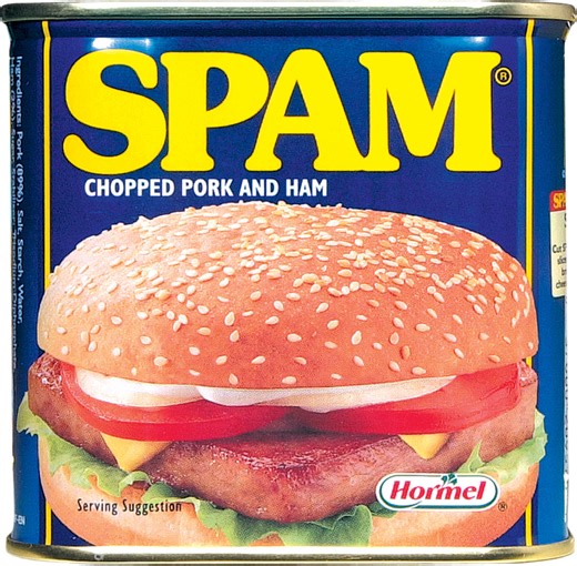 Someone used AI to explain SPAM, accidentally creating spam about Spam