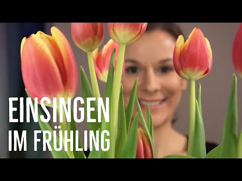 Einsingen im Frühling - Einsingen für Chor | singdu.de