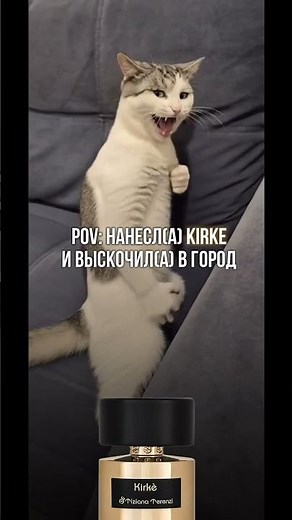 а вы любите аромат Kirke?