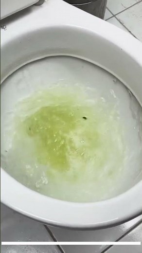 Toilet Cleaning Hack | Easy, Economical & Super Effective Tip