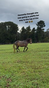 275K views · 5.5K reactions | She got there eventually  but on a...