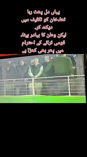 Exploring Love Dynamics in Diverse Settings