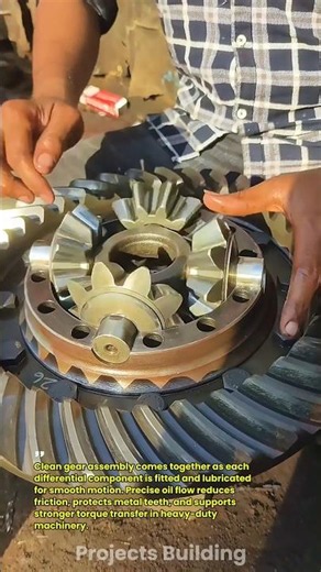 Precision Differential Gear Assembly