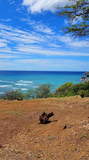 66K views · 3.6K reactions | This just may be the 'Hawaii' you needed in your life today...you're welcome. #hawaii #waikiki #vacation #Hawaiian | Going to Hawaii | Facebook