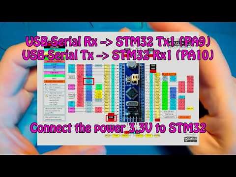The complete Setup-and-Run guide of STM32F103C8T6 or similar