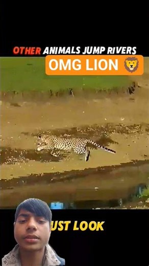 Puma's Incredible Jump Across the River! #shorts #wildlife #animals #adorableducks 😱