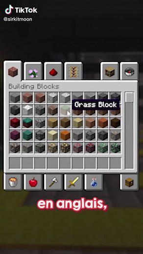 Découverte de la langue secrète de Minecraft