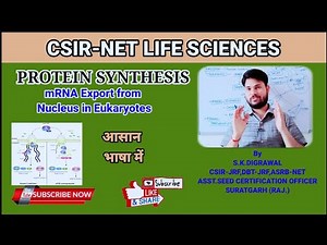 PROTEIN SYNTHESIS PART-4 // mRNA EXPORT FROM NUCLEUS// CSIR NET LIFE SCIENCES
