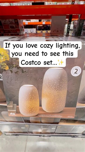 Costco NEW Home Decor Find! Evergreen LED Porcelain Lanterns (Set of 2) 🤍🖤#costcofinds #homedecor