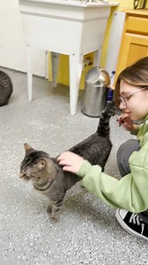 13K views · 2.2K reactions | It's almost closing time on this...