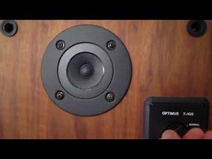 Realistic T-100 vintage speakers 11-22-17