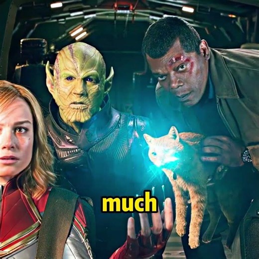 This cat is the universe's most powerful superbeing！#movie #fantasy #shorts #funnyvideo