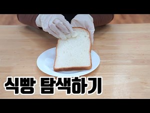 즐거운 만들기 놀이터 - 식빵 탐색하기