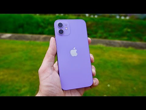 iPhone 12 mauve : aperçu et comparaison avec le 11
