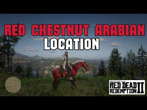 Red Chestnut Arabian Horse Location in Red Dead Redemption 2 - *RARE*