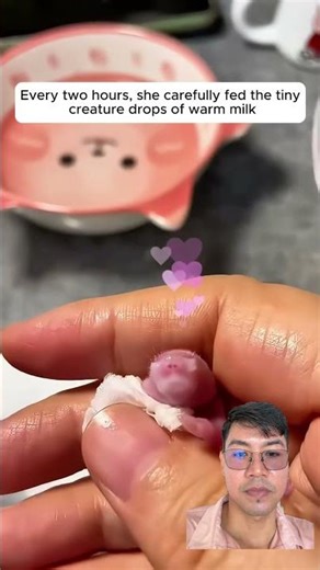 #hamster #pets #greenscreen