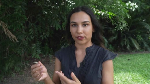 Skinks invade backyards across Australia