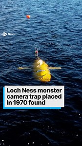 369K views · 870 reactions | A camera trap planted more than 50 years...