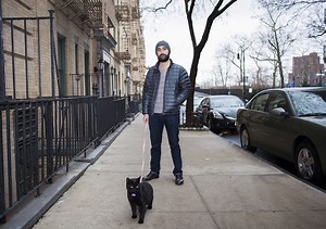 Portraits of Men with Their Beloved Cat Companions