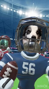 My team is ready for the game! 🦅 | Veterinary Team Training