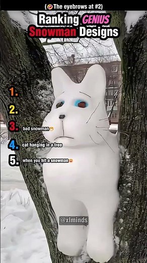Ranking Genius Snowman Designs
