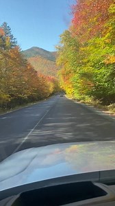 8.9K views · 778 reactions | Hello everyone. It’s time for another...