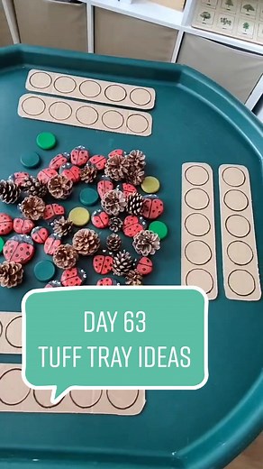 Ladybird Patterns Tuff Tray Activity