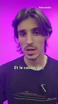 Cacao, soja, café...Ces aliments qui ruinent la planète