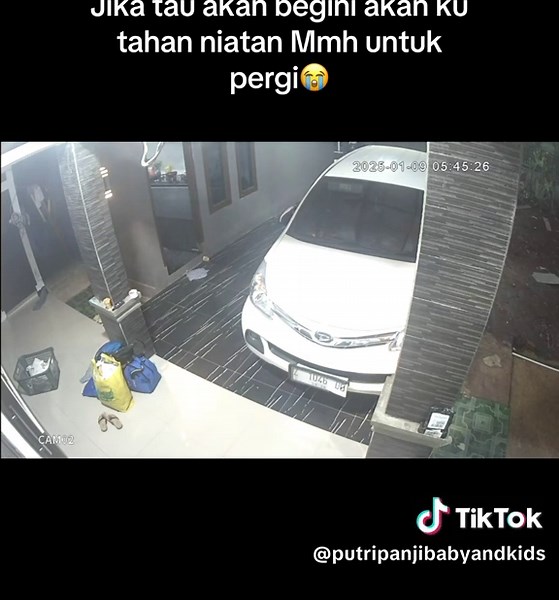 Moving Cars: A Captivating Garage Scene