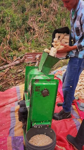 Manual Corn Grinder Operation Explained