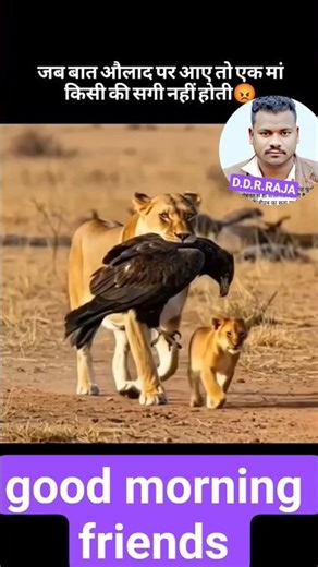 @@@@trendingreelvideod #motivation #love #shayari #hearttouching #maa