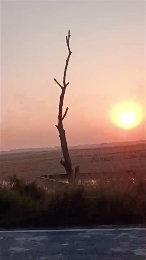 He is Allah—there is no god except Him☝️ هُوَ ٱللَّهُ - Egzon Ibrahimi #quranrecition