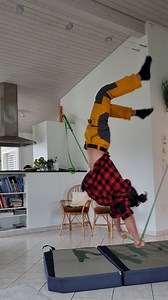 Playing with my @slacktivity Rodeo Bungees. Bouncing and Surfing around in a Handstand position is not only fun, but also an amazing preparation for handstand bounces on a highline. Plus it is of course an insane strength and coordination training for my shoulders and core. Outfit by @revolutionrace Slackline: @slacktivity Traveler Slackline Bungees: @slacktivity Rodeo Bungees 2.5m with 5 strands #handbalance #workout | Samuel Volery