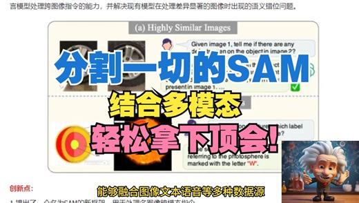 分割一切的SAM！结合多模态轻松拿下顶会！